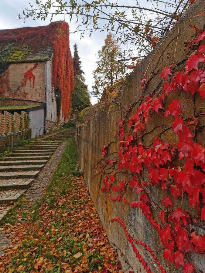 Gaestezimmer Reitinger Siegenburg ภายนอก รูปภาพ